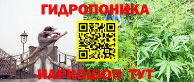тгк Апшеронск