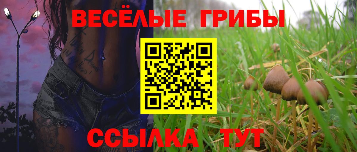 купить  сайты  Вход с VPN  Богданович  Псилоцибиновые грибы Cubensis  Псилоцибиновые грибы мухоморы 